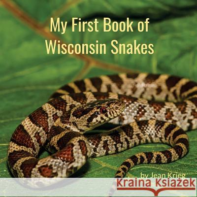 My First Book of Wisconsin Snakes Jean Krieg 9781977533203 Createspace Independent Publishing Platform