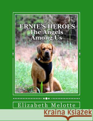 Ernie's Heroes: The Angels Among Us Elizabeth Melotte 9781977539052 Createspace Independent Publishing Platform