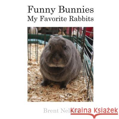 Funny Bunnies: My Favorite Rabbits Brent Nelson 9781977620965 Createspace Independent Publishing Platform