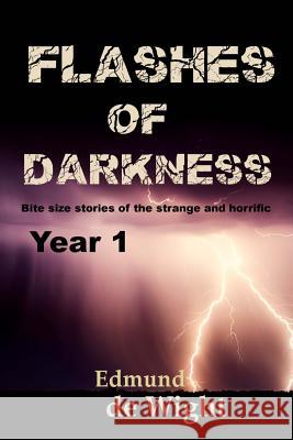 Flashes of Darknes - Year 1: Bite size stories of the strange and horrific de Wight, Edmund 9781977641502