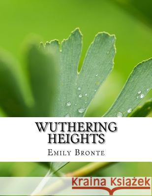 Wuthering Heights Emily Bronte 9781977761613 Createspace Independent Publishing Platform