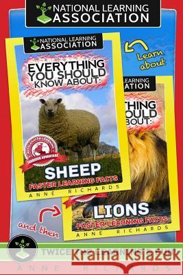 Everything You Should Know About: Lions and Sheep Richards, Anne 9781977832795 Createspace Independent Publishing Platform