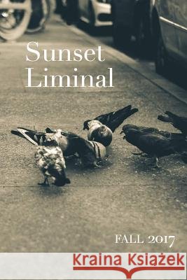 Sunset Liminal vol. 5: Fall 2017 Greg Scheiber Stephen Krzyzanowski Candise Henson 9781978025561