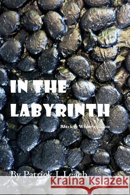 In the Labyrinth (B&W Edition) Leach, Patrick J. 9781978029408