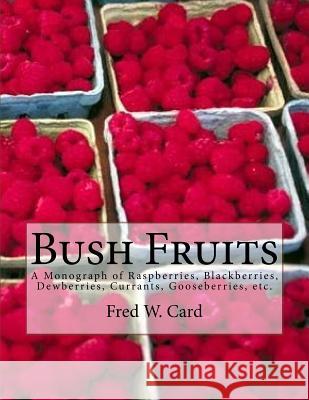 Bush Fruits: A Monograph of Raspberries, Blackberries, Dewberries, Currants, Gooseberries, etc. Chambers, Roger 9781978032729 Createspace Independent Publishing Platform