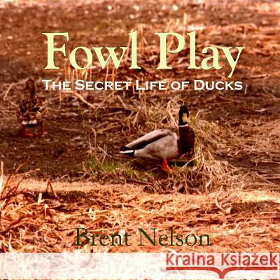 Fowl Play: The Secret Life of Ducks Brent Nelson 9781978065253