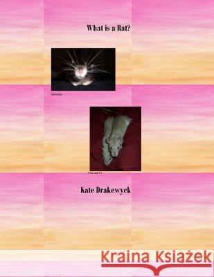 What is a Rat? Bulmer, Kate 9781978249684