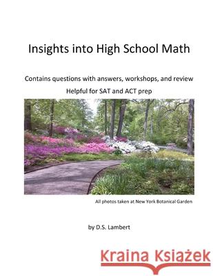 Insights into High School Math: Contains questions with answers, workshops, and review D. S. Lambert 9781978349087 Createspace Independent Publishing Platform