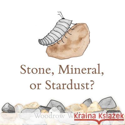 Stone, Mineral, or Stardust? Woodrow Willows 9781978406148