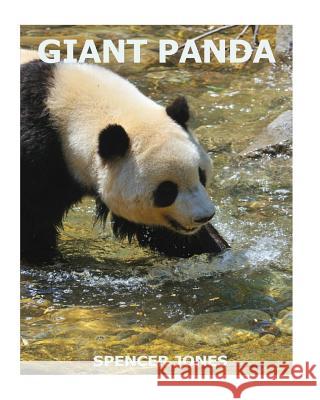 Giant Panda Spencer Jones 9781978410916 Createspace Independent Publishing Platform