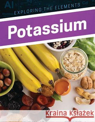 Potassium Donna B. McKinney 9781978503694