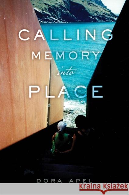 Calling Memory Into Place Dora Apel 9781978807839 Rutgers University Press