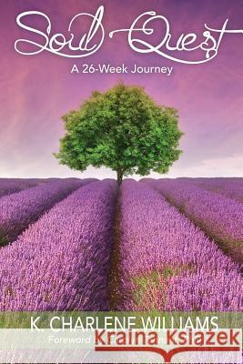 Soul Quest: A 26-Week Journey K. Charlene Williams Junette Pough Erica Huinda 9781979024679