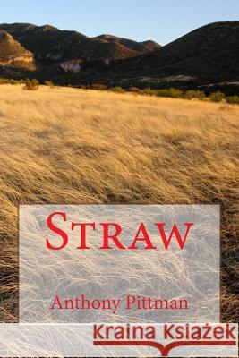 Straw Anthony Pittman 9781979098601