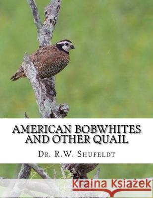 American Bobwhites and Other Quail Dr R. W. Shufeldt Jackson Chambers 9781979108959 Createspace Independent Publishing Platform