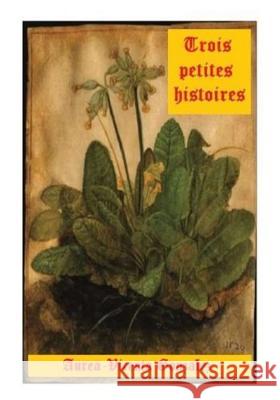 Trois petites histoires Martinez, Aurea-Vicenta Gonzalez 9781979198875 Createspace Independent Publishing Platform