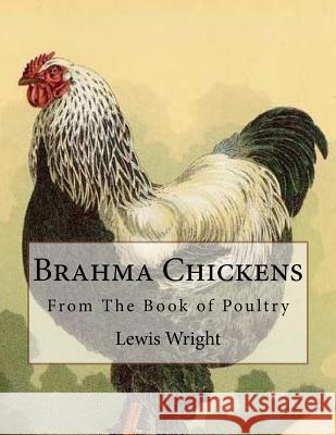 Brahma Chickens: From The Book of Poultry Chambers, Jackson 9781979401869 Createspace Independent Publishing Platform