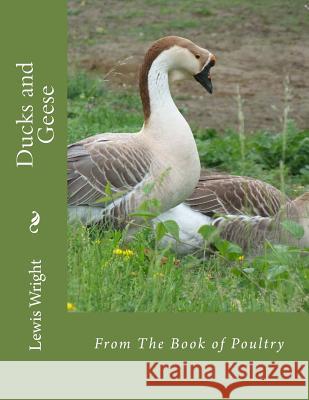 Ducks and Geese: From The Book of Poultry Chambers, Jackson 9781979402781 Createspace Independent Publishing Platform