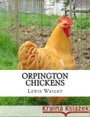 Orpington Chickens: From The Book of Poultry Chambers, Jackson 9781979403764 Createspace Independent Publishing Platform