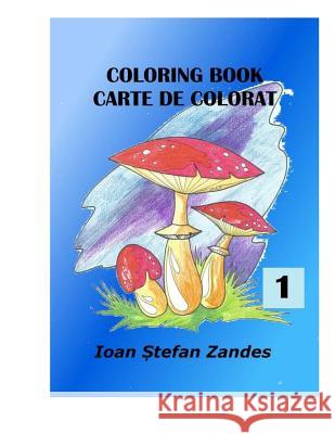 Coloring Books Mr Ioan Stefan Zandes Mr Sorinel Balan 9781979431033 Createspace Independent Publishing Platform