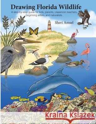 Drawing Florida Wildlife Sheri Amsel 9781979583336 Createspace Independent Publishing Platform