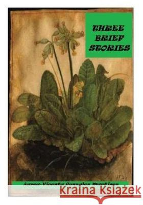 Three brief stories Martinez, Aurea-Vicenta Gonzalez 9781979607575 Createspace Independent Publishing Platform