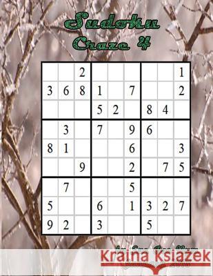 Sudoku Craze 4 Sue Doe Nym 9781979622448 Createspace Independent Publishing Platform