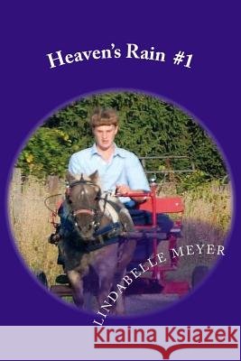 Heaven's Rain Lindabelle Meyer 9781979690928 Createspace Independent Publishing Platform