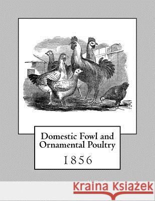 Domestic Fowl and Ornamental Poultry H. D. Richardson Jackson Chambers 9781979741194 Createspace Independent Publishing Platform