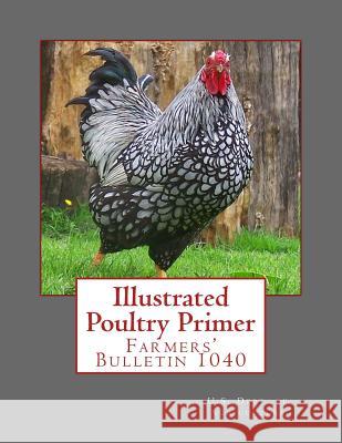 Illustrated Poultry Primer: Farmers' Bulletin 1040 U. S. Dept of Agriculture                Jackson Chambers 9781979830805 Createspace Independent Publishing Platform