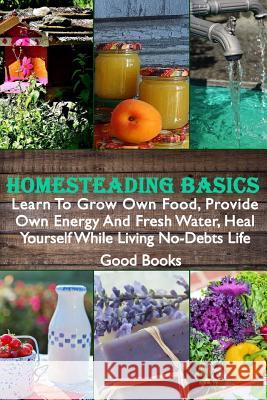 Homesteading Basics: Learn To Grow Own Food, Provide Own Energy And Fresh Water, Heal Yourself While Living No-Debts Life Books, Good 9781979952293 Createspace Independent Publishing Platform