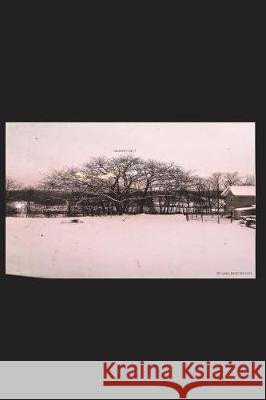 Graffiti Lilly Sara Hutchinson 9781980404729