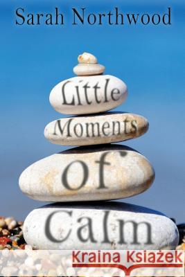 Little Moments of Calm Sarah Northwood 9781980731955 Independently Published