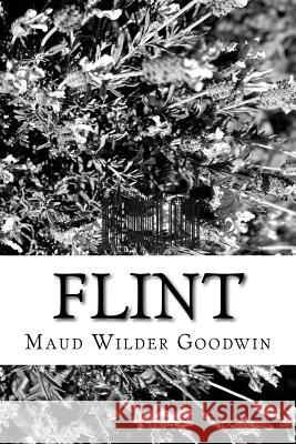 Flint Maud Wilder Goodwin 9781981157860 Createspace Independent Publishing Platform