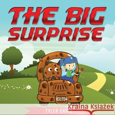 The Big Suprise Mstr Tyler David 9781981188598 Createspace Independent Publishing Platform