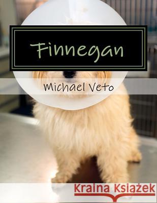 Finnegan Michael F. Veto 9781981216987 Createspace Independent Publishing Platform