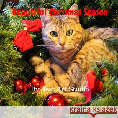 Beautiful Christmas Season Best Art Studio 9781981395446 Createspace Independent Publishing Platform