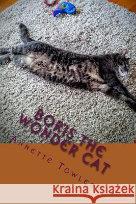 Boris The Wonder Cat Towler, Annette 9781981416424 Createspace Independent Publishing Platform