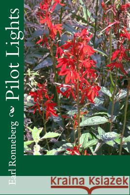 Pilot Lights Earl Ronneberg 9781981432929 Createspace Independent Publishing Platform