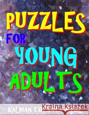 Puzzles for Young Adults: 133 Large Print Entertaining Word Search Puzzles Kalman Tot 9781981449187