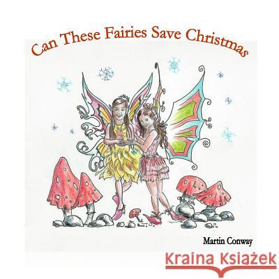 Can these Fairies Save Christmas Soraya 9781981511921