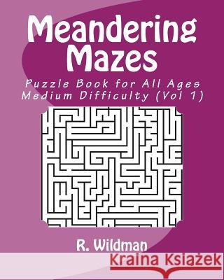 Meandering Mazes: Puzzle Books for All Ages - Medium Difficulty R. Wildman 9781981609635 Createspace Independent Publishing Platform