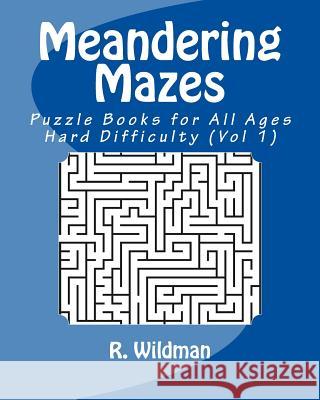 Meandering Mazes: Puzzle Books for All Ages - Hard Difficulty R. Wildman 9781981685219 Createspace Independent Publishing Platform