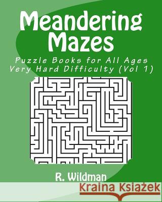 Meandering Mazes: Puzzle Books for All Ages - Very Hard Difficulty R. Wildman 9781981713677 Createspace Independent Publishing Platform