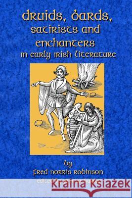 Druids Bards Satirists And Enchanters: In Early Irish Literature John W. Hurley Fred Norris Robinson 9781981748662