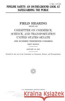 Pipeline safety: an on-the-ground look at safeguarding the public Senate, United States 9781981779796 Createspace Independent Publishing Platform