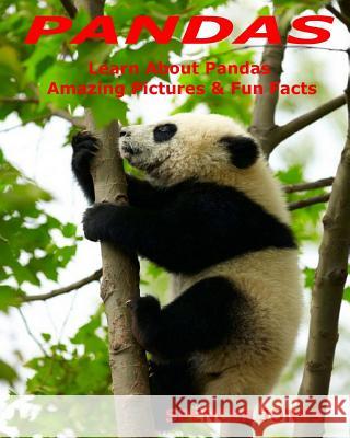 Pandas: Learn About Pandas Amazing Pictures & Fun Facts Jones, Spencer 9781981802388