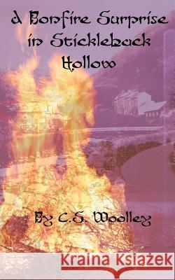 A Bonfire Surprise in Stickleback Hollow C. S. Woolley 9781981847464 Createspace Independent Publishing Platform