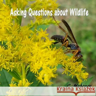 Asking Questions about Wildlife C. Mahoney 9781981853724 Createspace Independent Publishing Platform