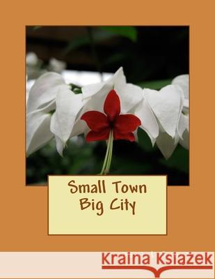 Small Town Big City Daniel Allen Brock 9781981953936 Createspace Independent Publishing Platform